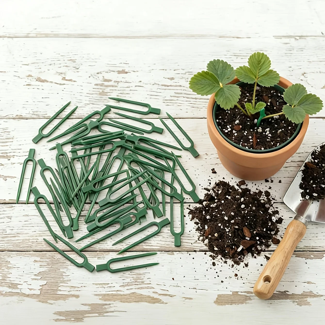 Plant Support Stake - 50 ชิ้น ไม้ค้ำยันพลาสติกสำหรับพืชเลื้อย - ไม้ค้ำยันรูปตัวยูสำหรับสวน -