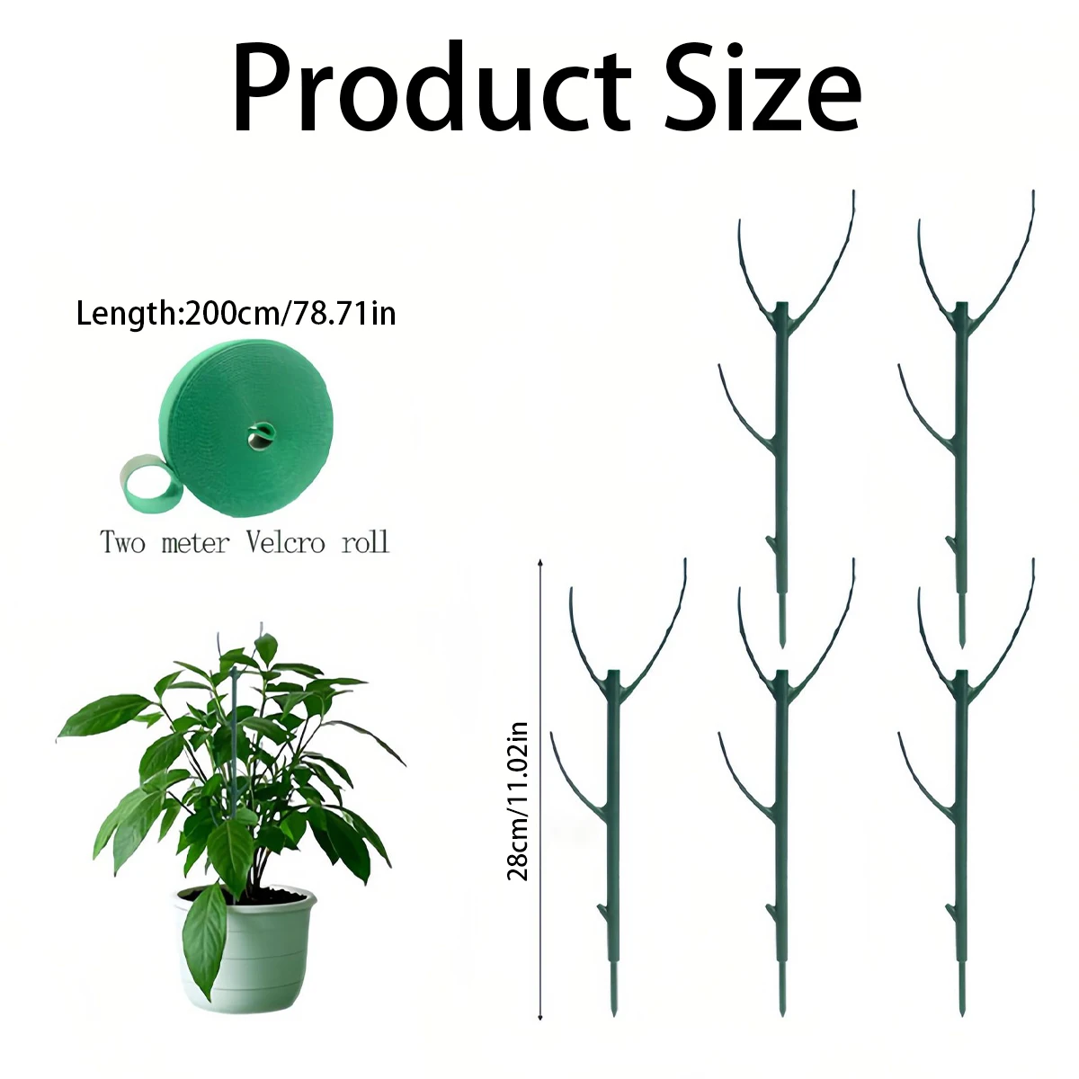 ชุดเสาค้ำต้นไม้โมนสเตอร่า 6 ชิ - Plant Support Stake บทวิจารณ์และราคา