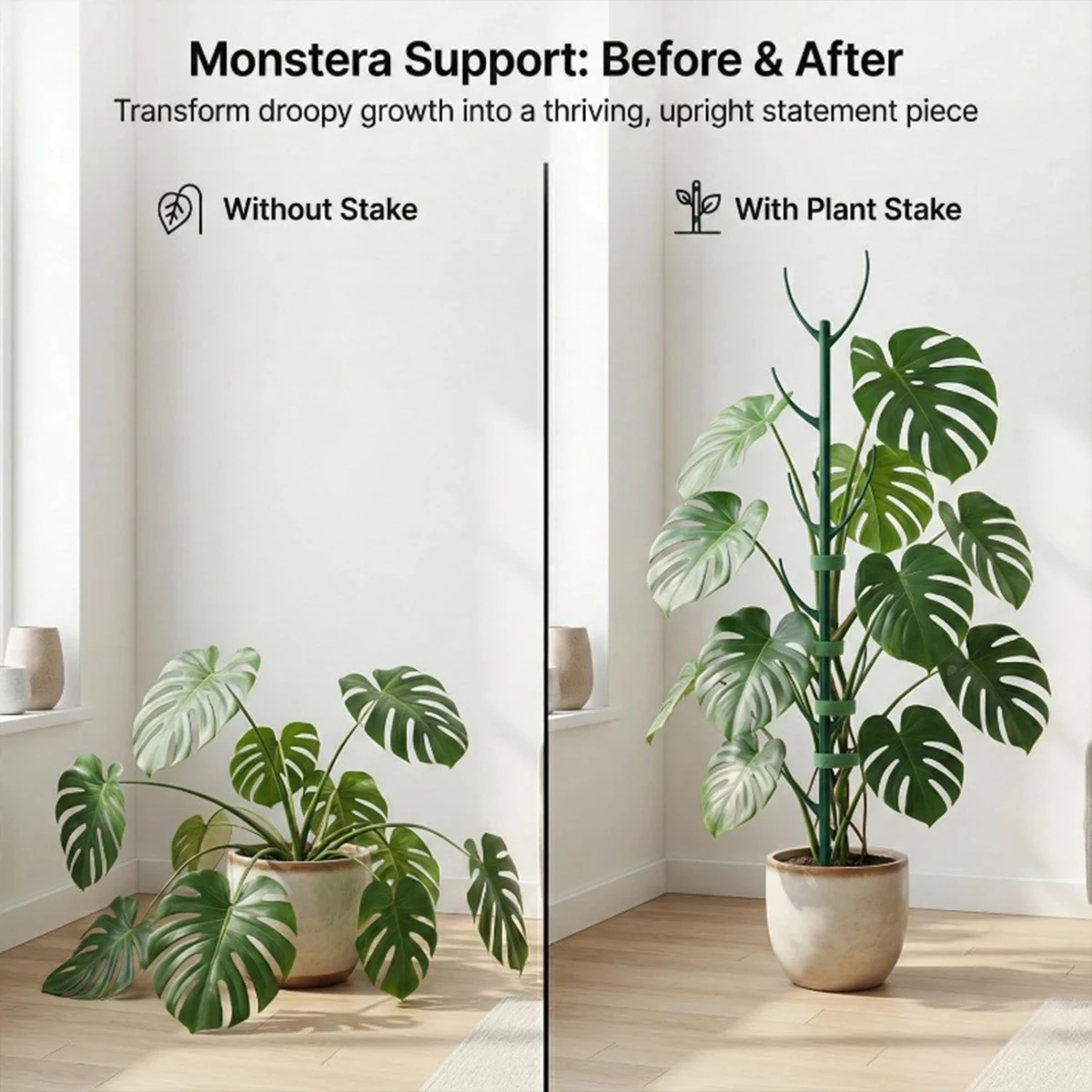 ชุดเสาค้ำต้นไม้โมนสเตอร่า 6 ชิ - Plant Support Stake บทวิจารณ์และราคา