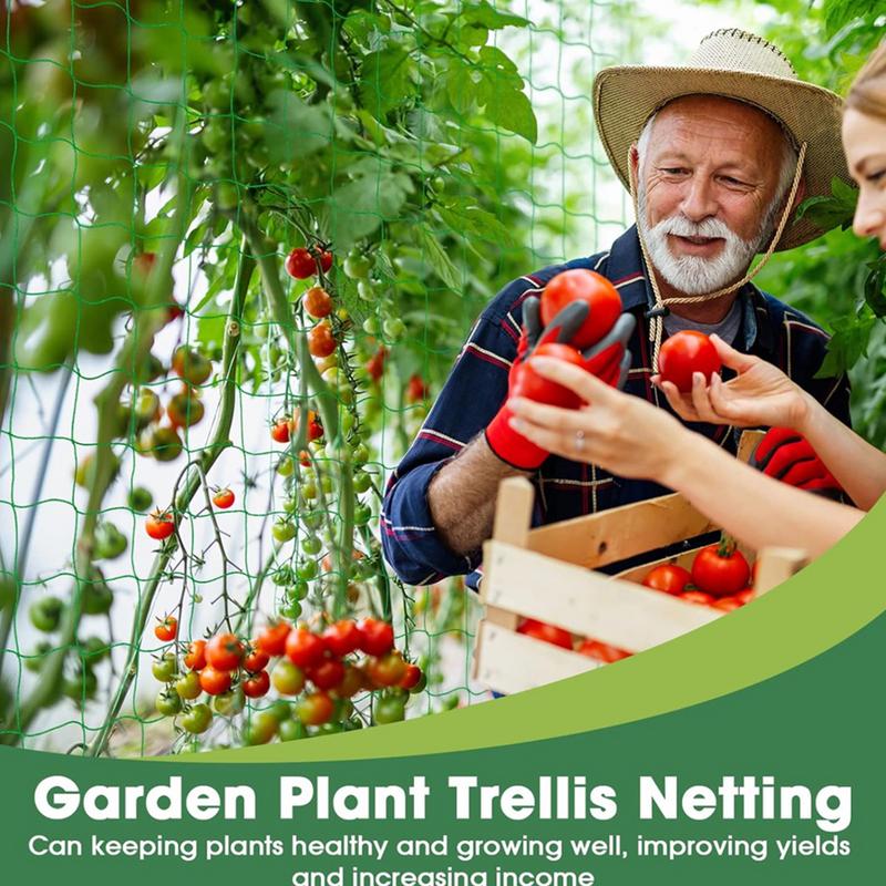 Trellis ตาข่ายสําหรับพืชปีนเขา - Plant Support Stake บทวิจารณ์และราคา