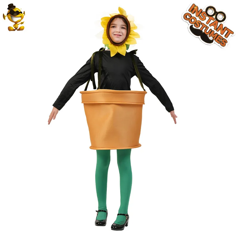 ชุดกระถางดอกไม้ฮาโลวีนสำหรับผู - Plant Pot บทวิจารณ์และราคา