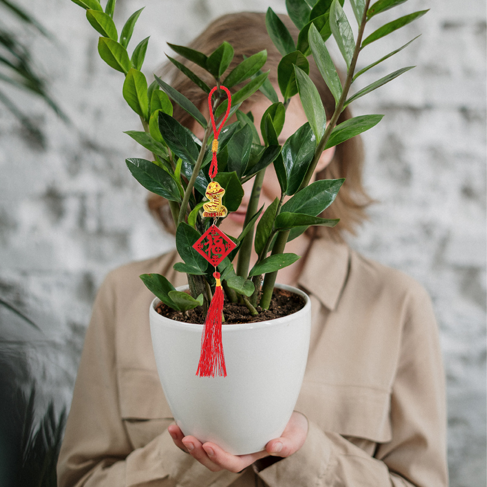 5 ชิ้น จี้ไม้ปีงู 2025 ลายต้นไ - Snake Plant บทวิจารณ์และราคา