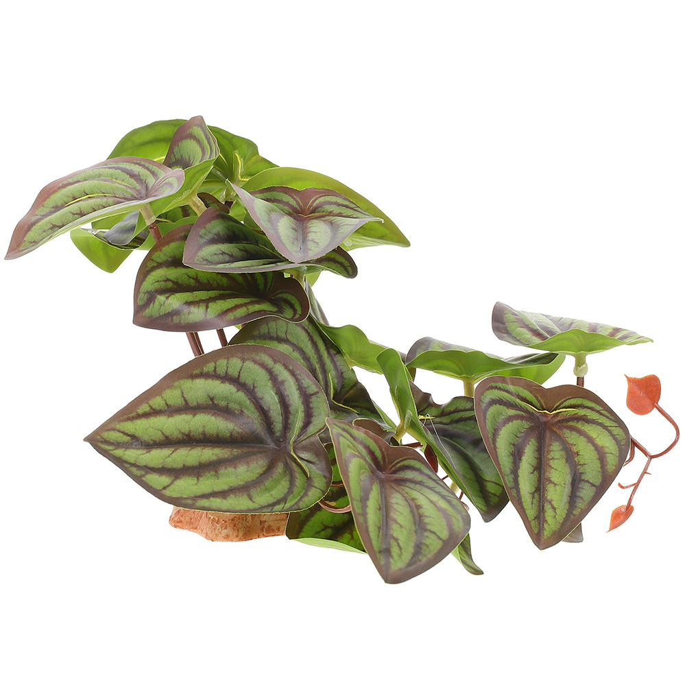 ต้นไม้จำลองคุณภาพสูงสำหรับตกแต - Snake Plant บทวิจารณ์และราคา
