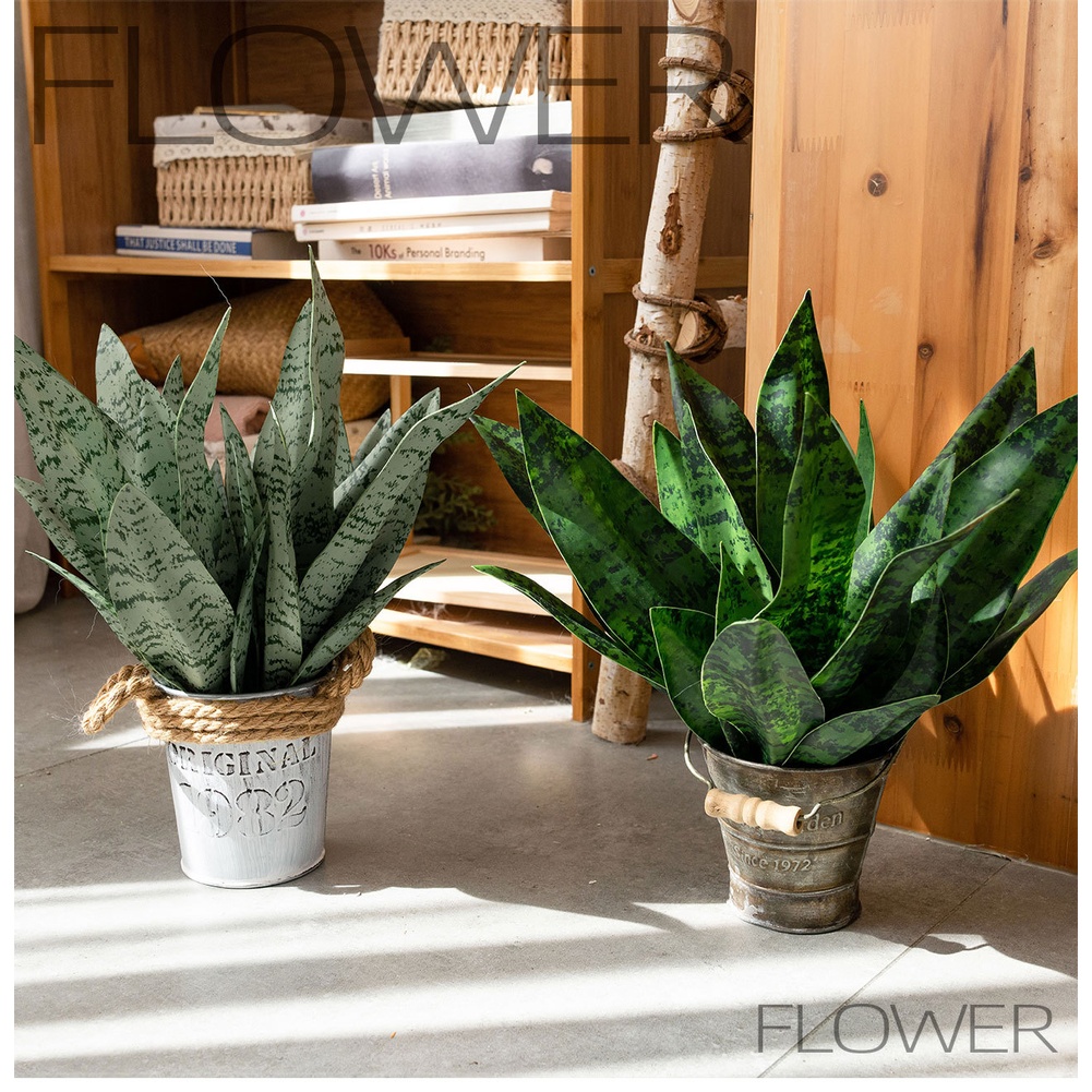 ต้นไม้ประดิษฐ์ PVC ลายมังกร ใบ - Snake Plant บทวิจารณ์และราคา