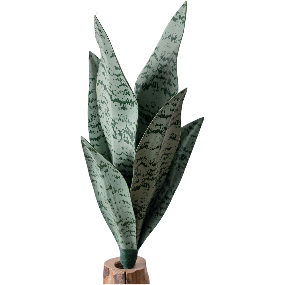 ต้นไม้ประดิษฐ์ PVC ลายมังกร ใบ - Snake Plant บทวิจารณ์และราคา