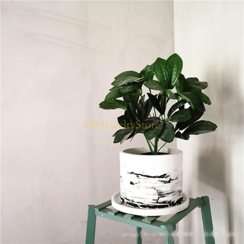 F2TD ขนาดใหญ่กลมฉ่ำพืชหม้อซิลิ - Terracotta Pot บทวิจารณ์และราคา