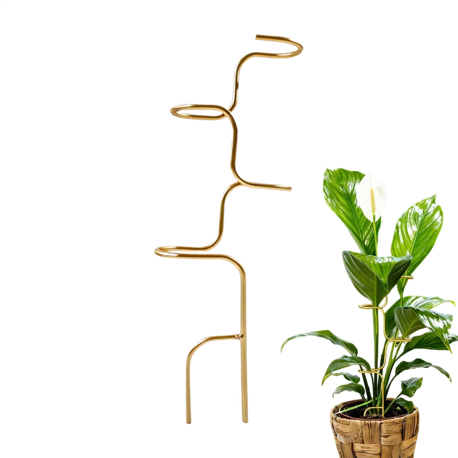 โครงยึดลำต้นพืชในสวน โครงเหล็ก - Plant Support Stake บทวิจารณ์และราคา
