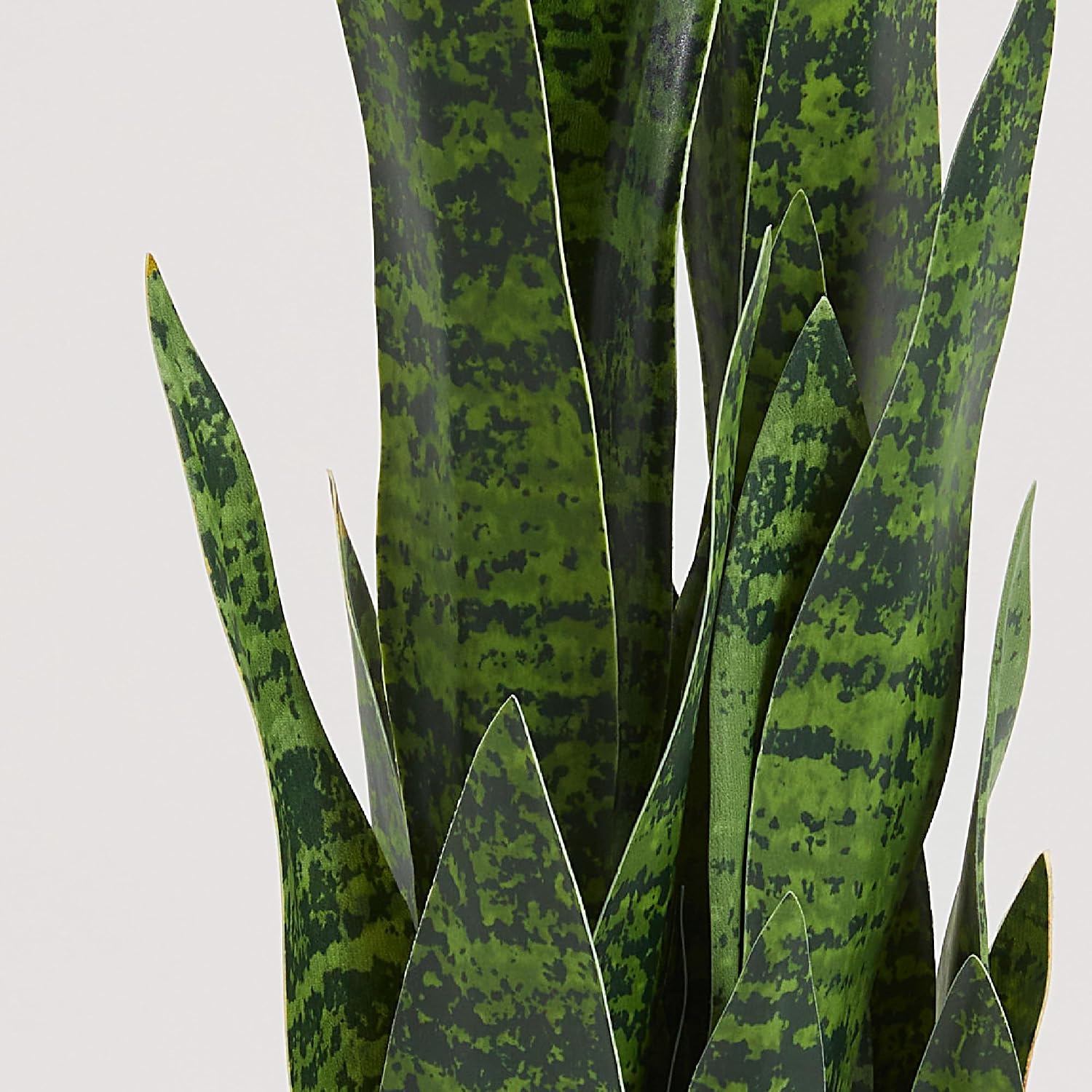 ต้นไม้ประดิษฐ์ลายงู, ต้นไม้จำล - Snake Plant บทวิจารณ์และราคา