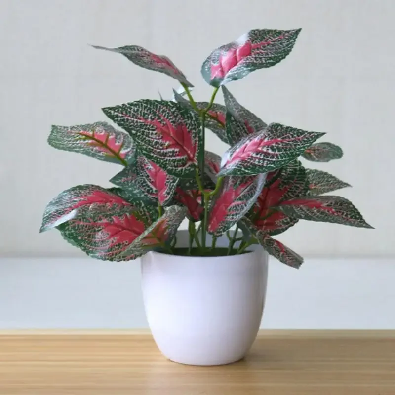 ต้นไม้ประดิษฐ์ บอนไซ ต้นไม้ปลอ - Snake Plant บทวิจารณ์และราคา