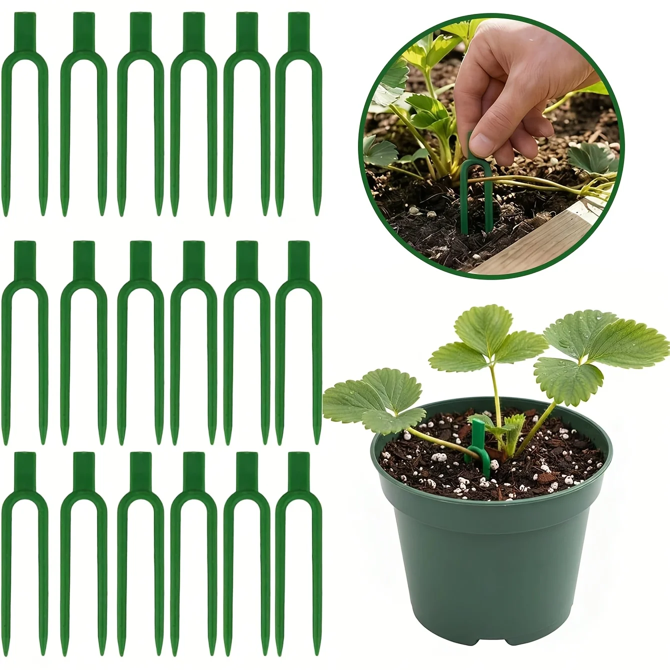 50 ชิ้น ไม้ค้ำยันพลาสติกสำหรับ - Plant Support Stake บทวิจารณ์และราคา